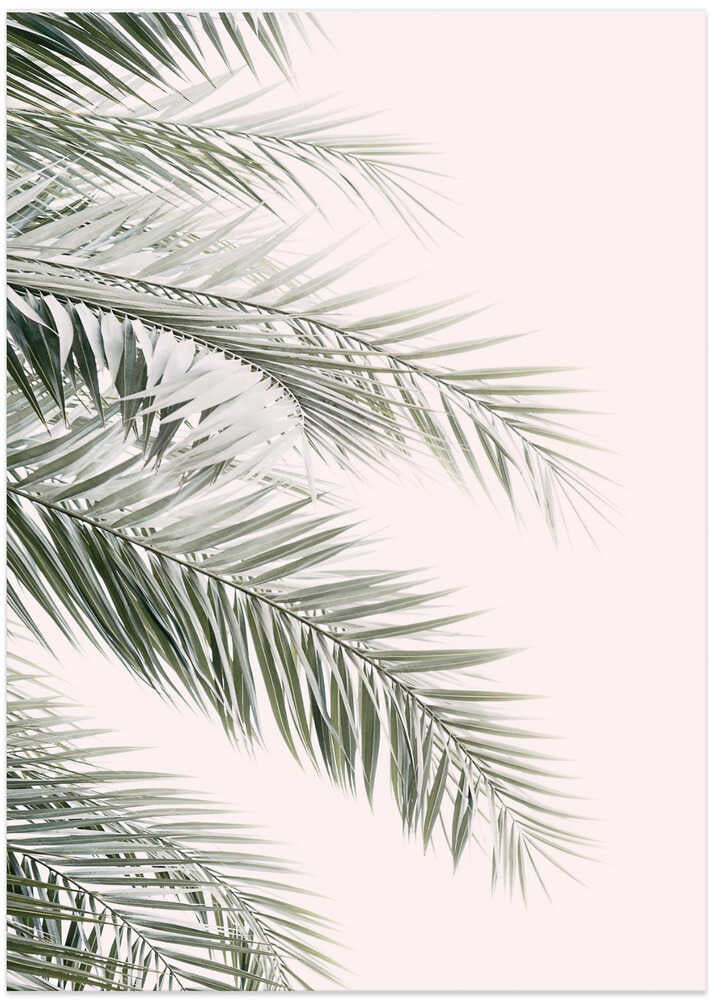 Blush Palm Leaves - Art Print by Kathrin Pienaar