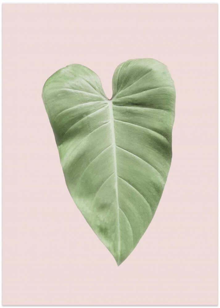 Tropical Leaf Blush - Art Print by Kathrin Pienaar