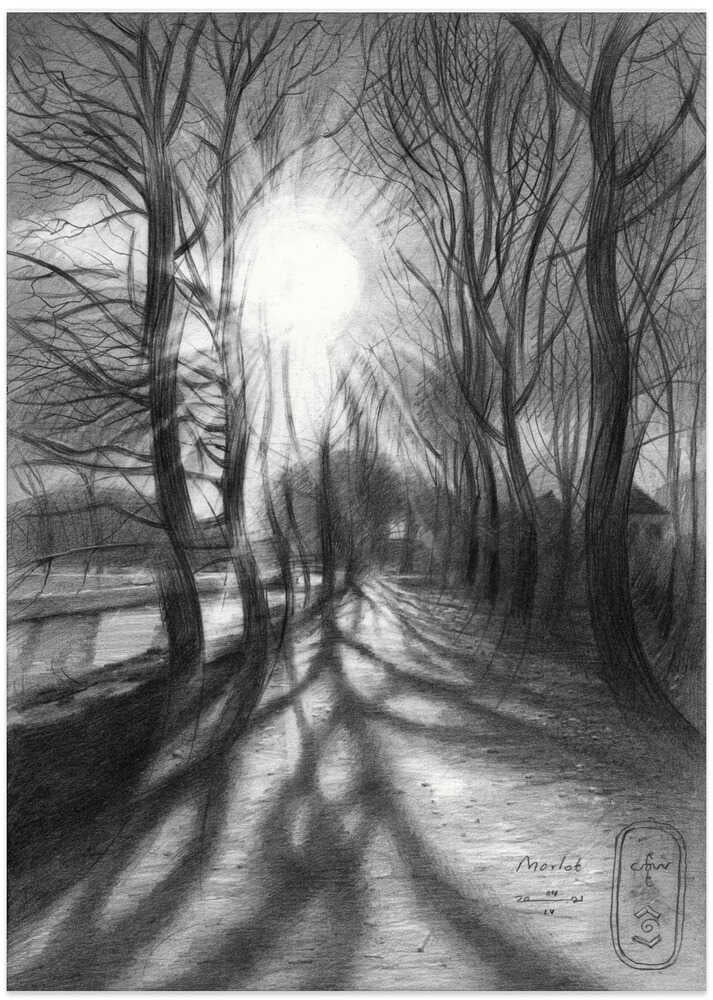 Path of Winter Light - Art Print by Corné Akkers