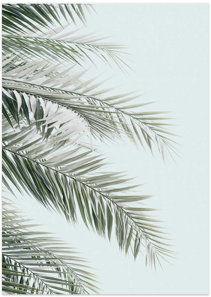 Blue Palms - Art Print by Kathrin Pienaar