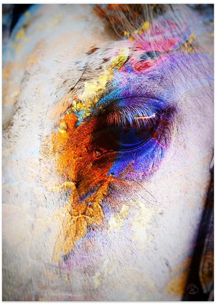 Painted Horse - Art Print by Ruth Day