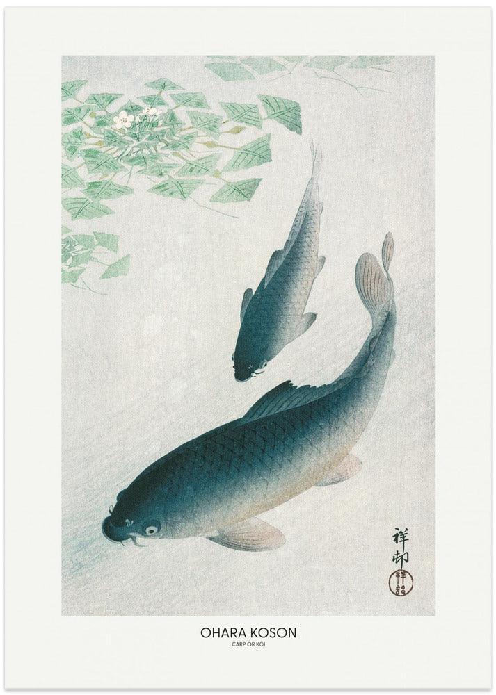 Carp Or Koi - Art Print by Ohara Koson