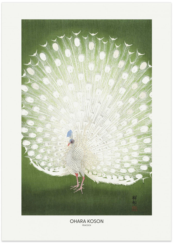 Peacock - Cropped - Art Print by Ohara Koson