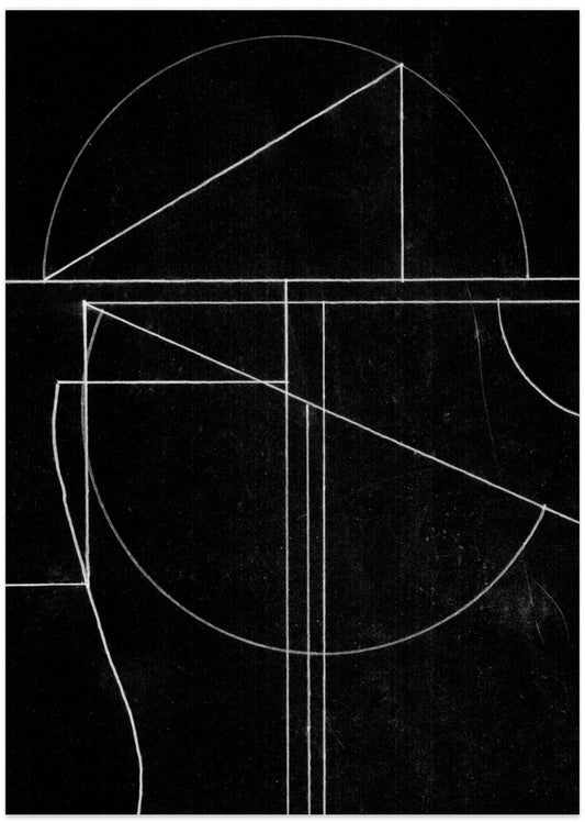 Buia - Art Print by Dan Hobday