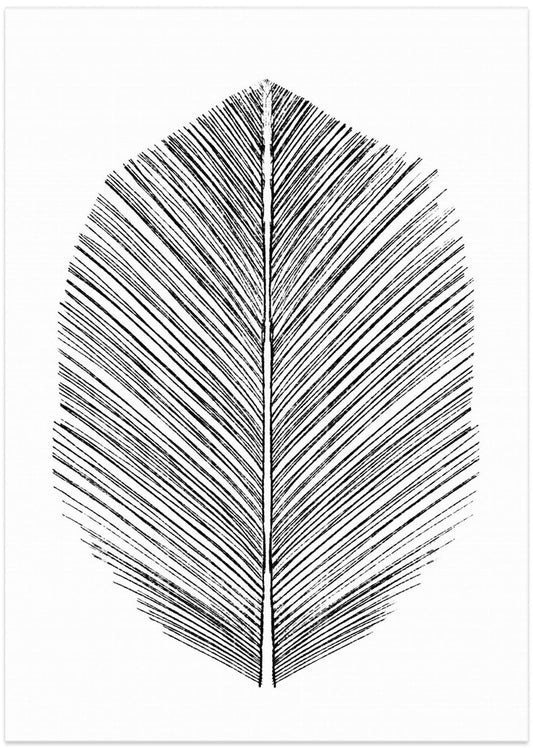 Feather - Art Print by Dan Hobday