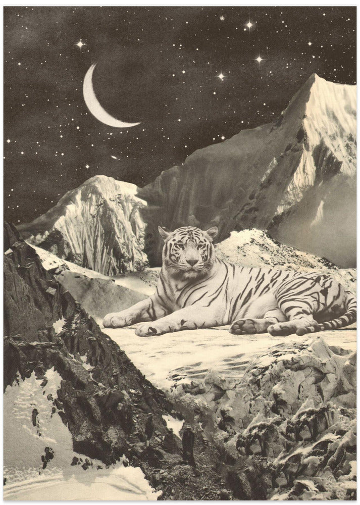 Giant White Tiger - Art Print by Florent Bodart