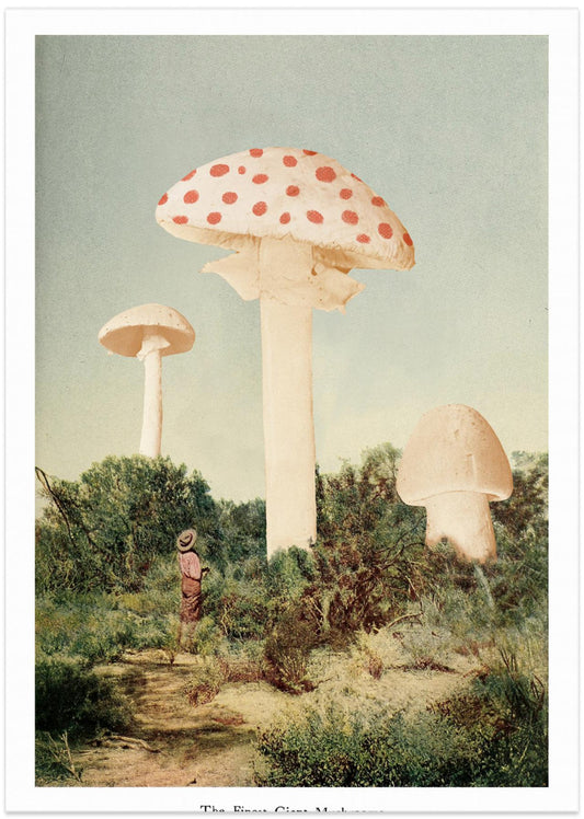 The Finest Giant Mushroom - Art Print by Florent Bodart