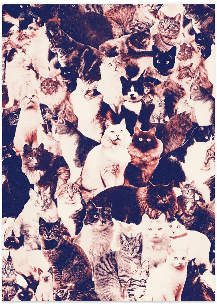 Cats Forever - Art Print by Florent Bodart
