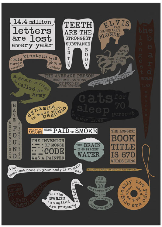 Useful Facts - Art Print by Florent Bodart