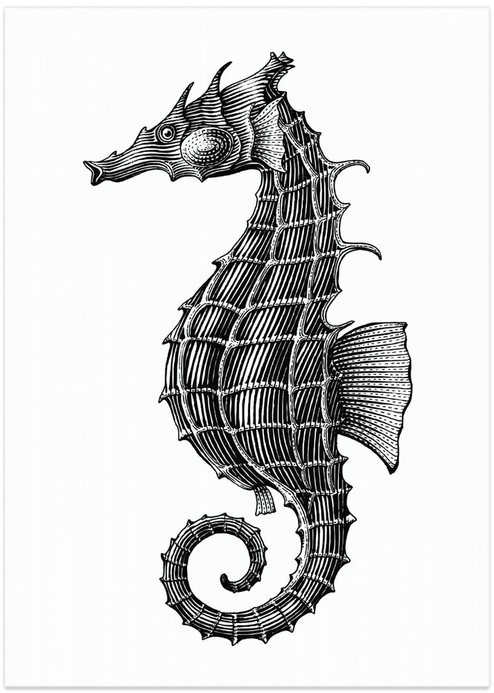Seahorse - Art Print by jay stanley