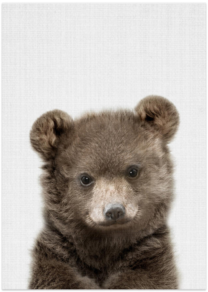 Peekaboo Baby Bear - Art Print by Lola Peacock