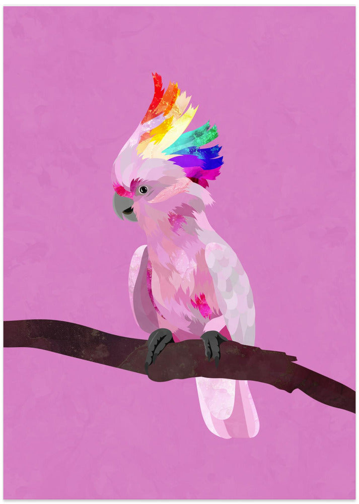 Pride Galah - Art Print by Sarah Manovski