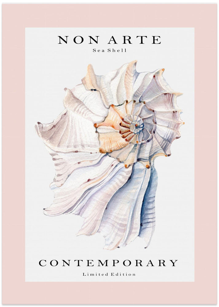 Non Arte Sea Shell no.1 - Art Print by Rikke Løndager Boisen