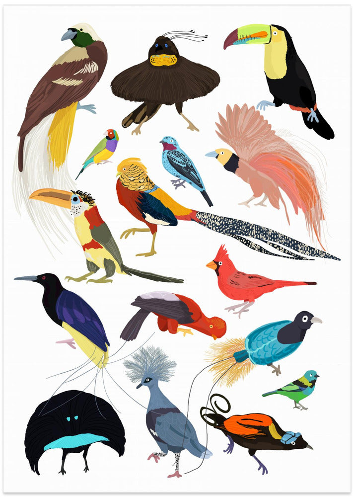 Birds of Paradise - Art Print by Hanna Melin