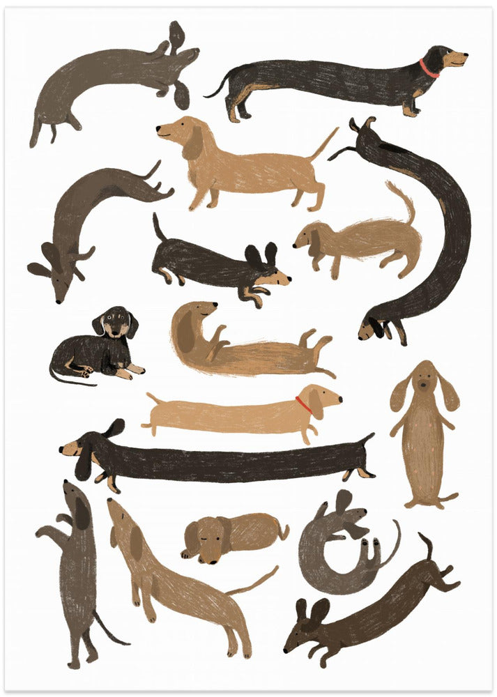 Dachshund Print - Art Print by Hanna Melin