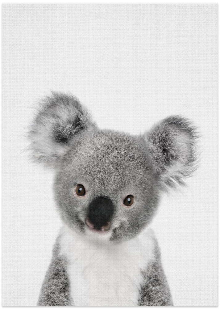 Peekaboo Baby Koala - Art Print by Lola Peacock