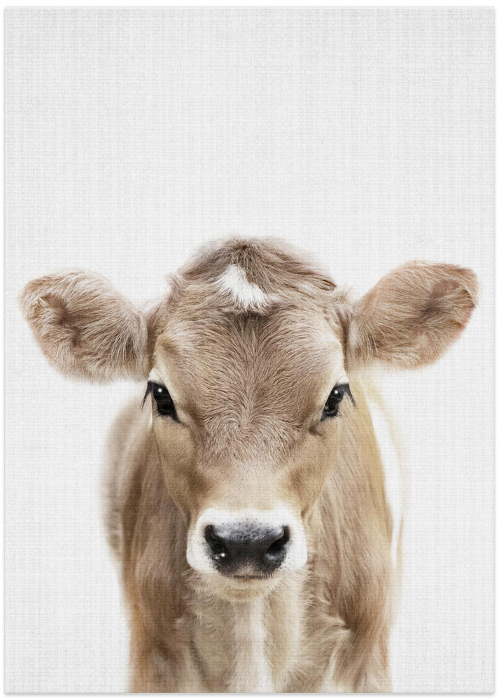 Peekaboo Baby Cow - Art Print by Lola Peacock