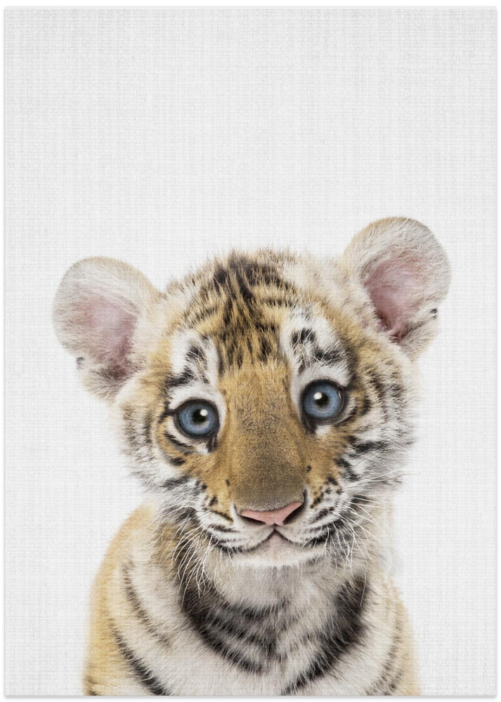 Peekaboo Baby Tiger - Art Print by Lola Peacock