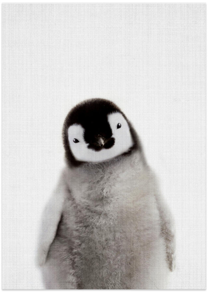 Peekaboo Baby Penguin - Art Print by Lola Peacock