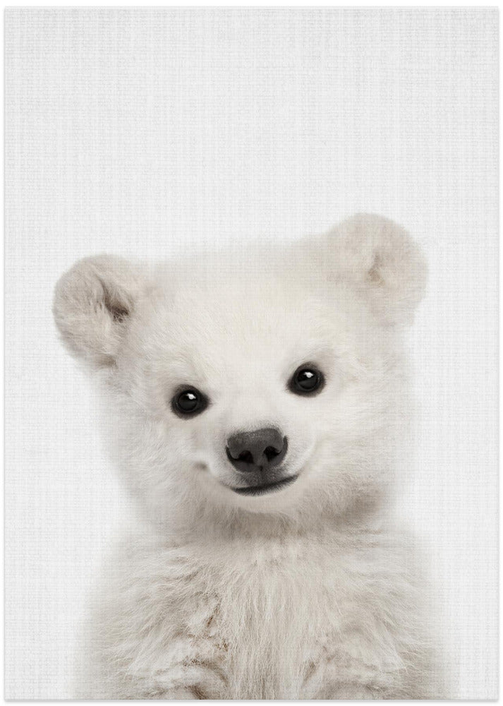 Peekaboo Baby Polar Bear - Art Print by Lola Peacock