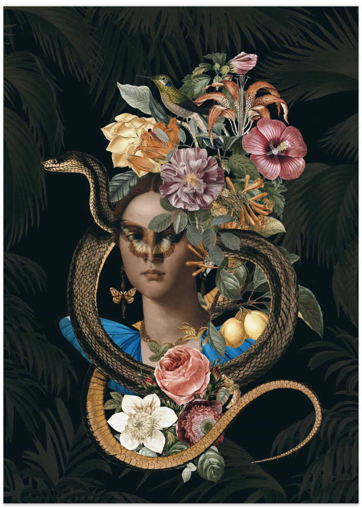 Snake Princess - Art Print by Andrea Haase