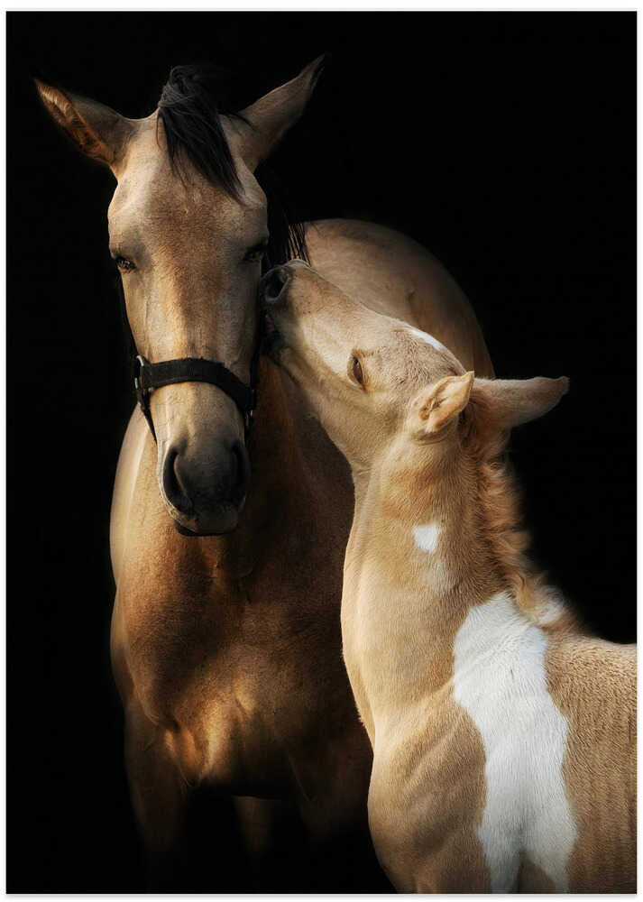 I love you mommy - Art Print by Helena GARCIA HUERTAS