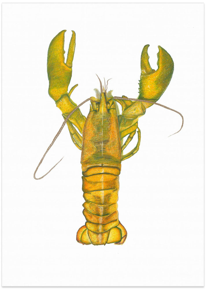 Lobster - Art Print by Akintunde Durodola