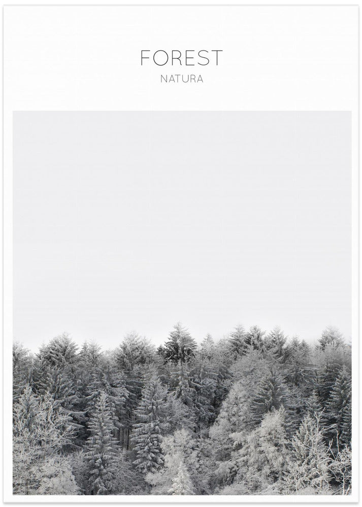 Frosted Tranquility - Art Print by THE MIUUS STUDIO