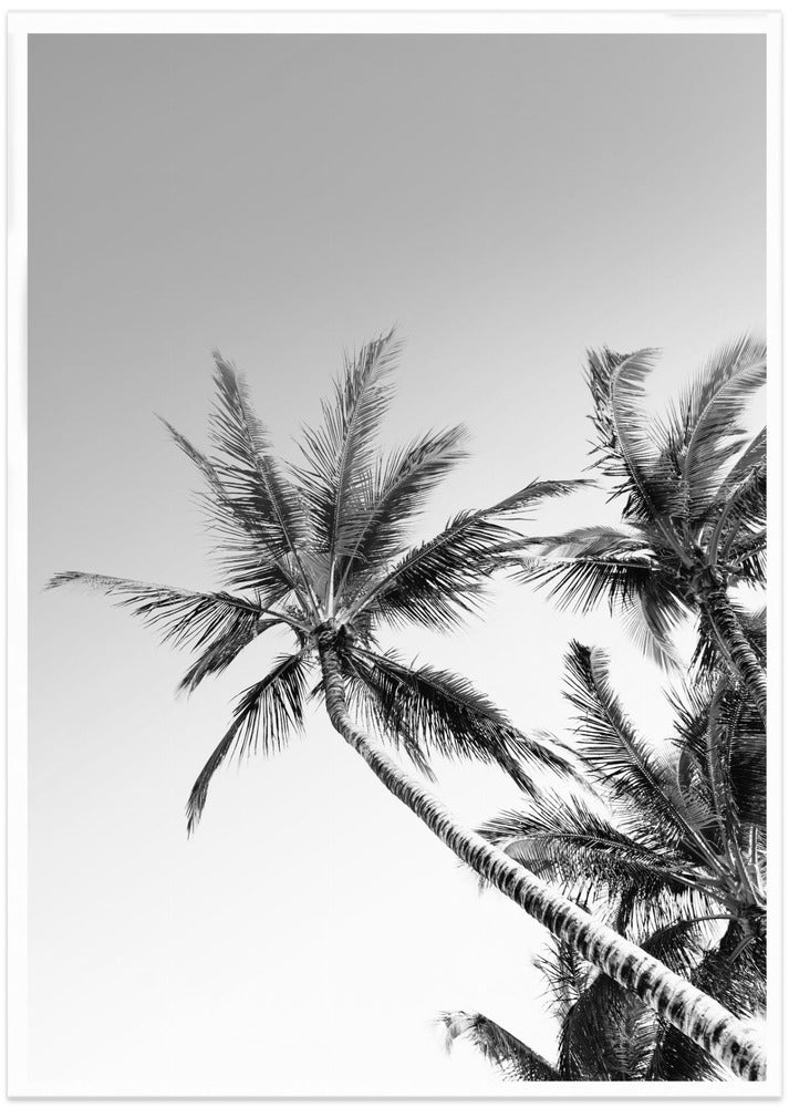 Tropical Silhouettes - Art Print by THE MIUUS STUDIO