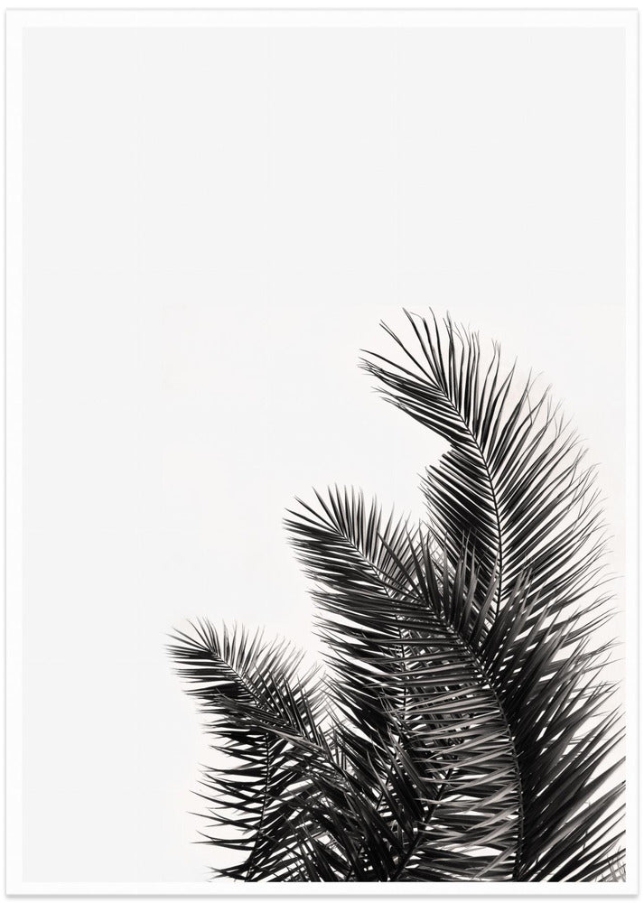 Palm Whisper - Art Print by THE MIUUS STUDIO