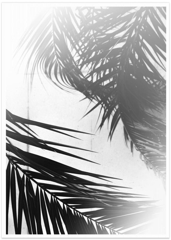 Palm Silhouettes - Art Print by THE MIUUS STUDIO