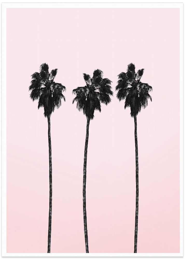 Three Tall Palms - Art Print by THE MIUUS STUDIO