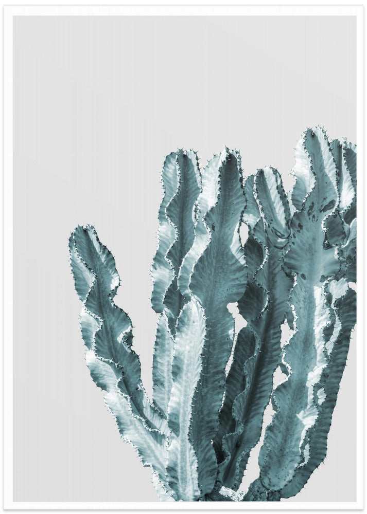 Cactus Elegance - Art Print by THE MIUUS STUDIO