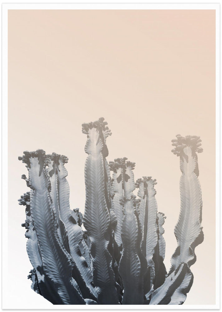 Cactus Silhouettes - Art Print by THE MIUUS STUDIO