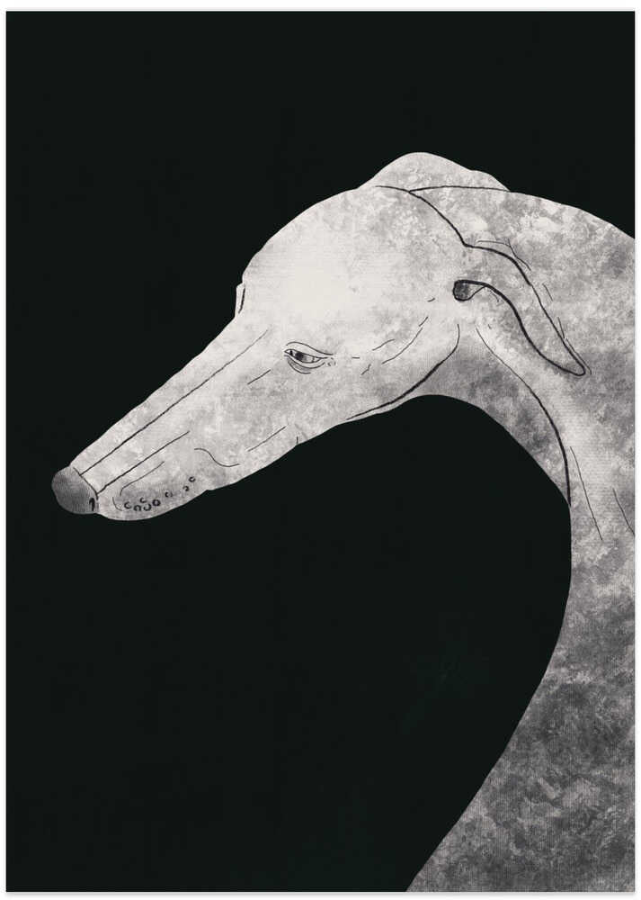 Greyhound black and white 02 - Art Print by Little Dean