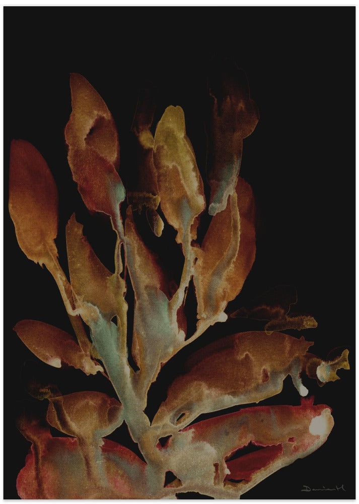 Night Plant - Art Print by Dan Hobday