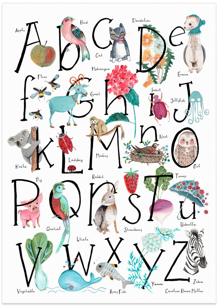ABC illustration - Art Print by Caroline Bonne Müller