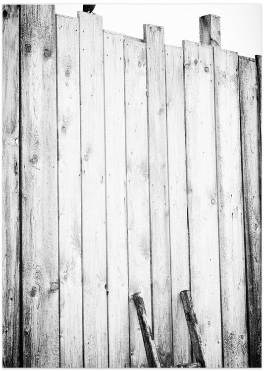 Freed - Art Print by Jürgen Hartlieb