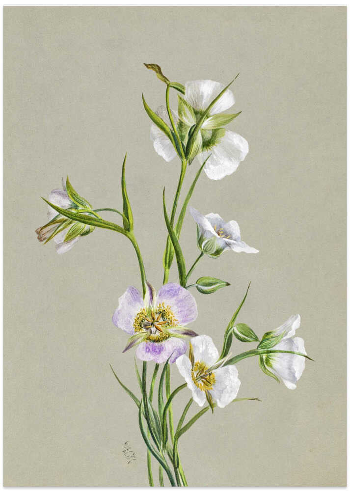 On the Road To Monument (1881) - Art Print by Mary Vaux Walcott