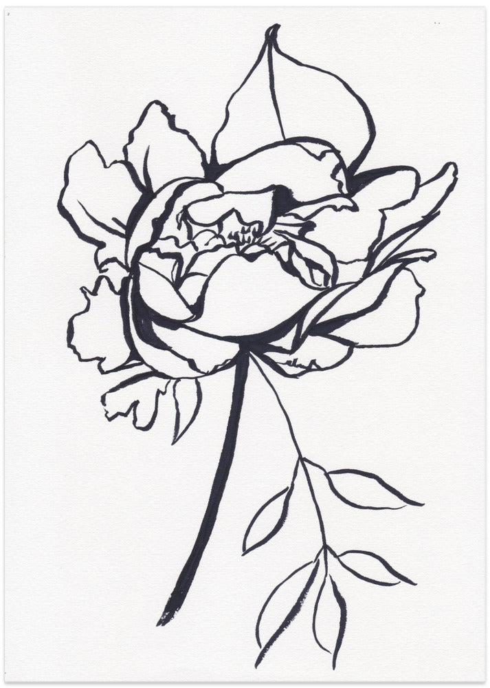 Black and White Peony Small - Art Print by Christine Lindstrom