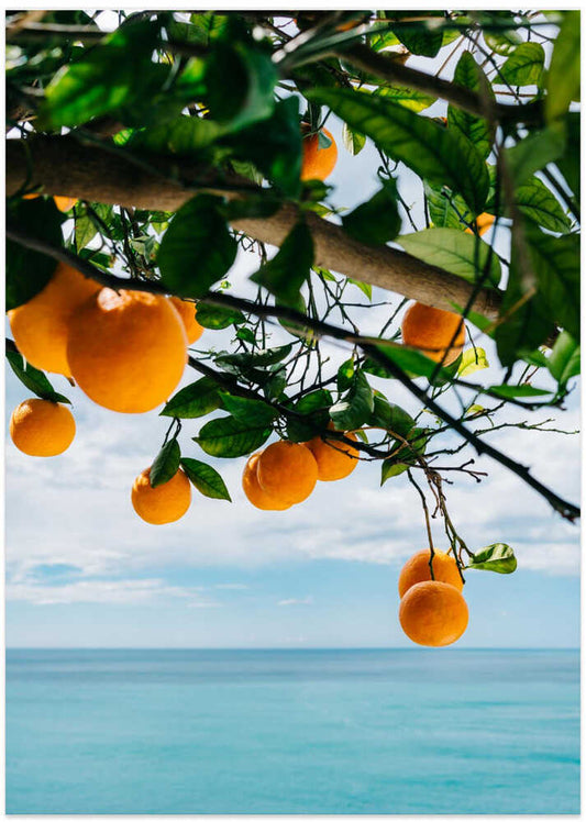 Amalfi Coast Oranges IV - Art Print by Bethany Young