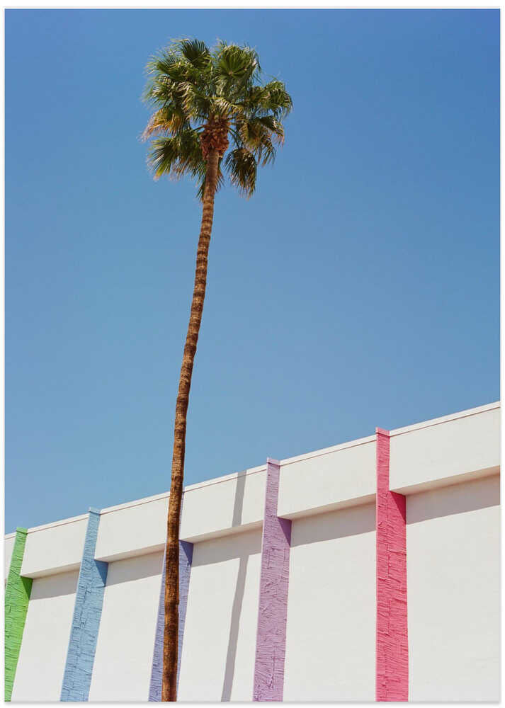 Palm Springs II - Art Print by Bethany Young