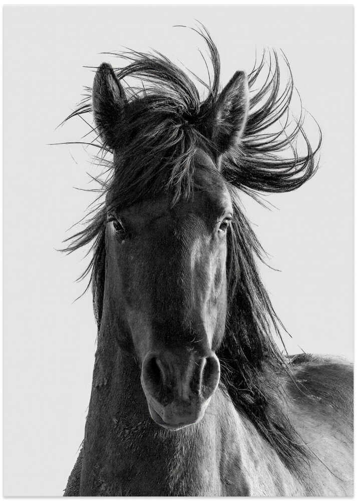 Portrait - Art Print by Yuan Su