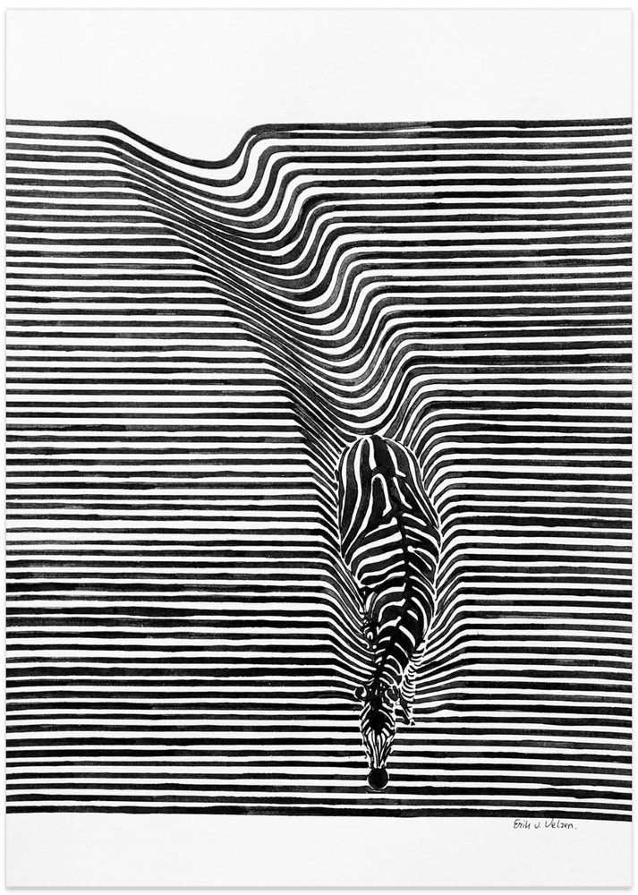 Zebra in het veld - Art Print by Erik Van Velzen