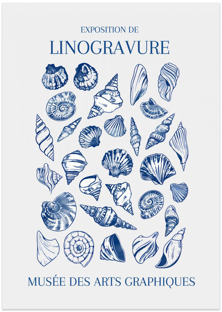 Lino Seashell Art Market - Art Print by Jolly and Dash