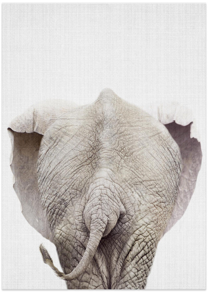 Peekaboo Elephant Tail - Art Print by Lola Peacock