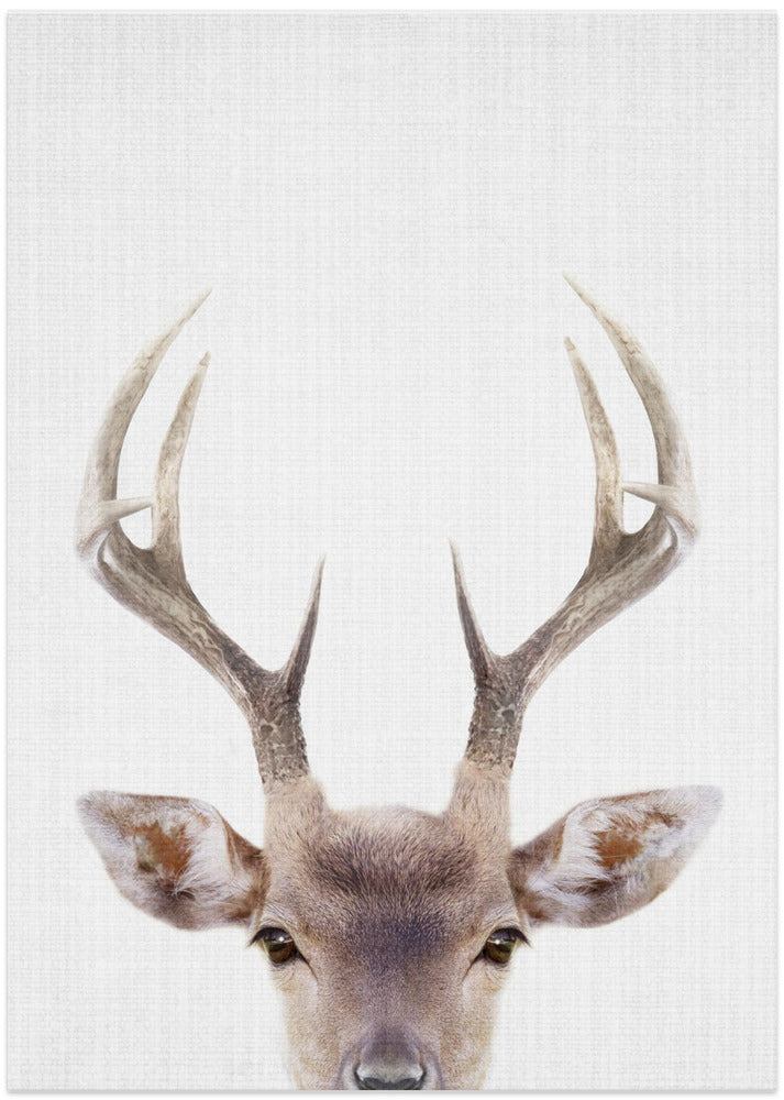 Peekaboo Deer - Art Print by Lola Peacock