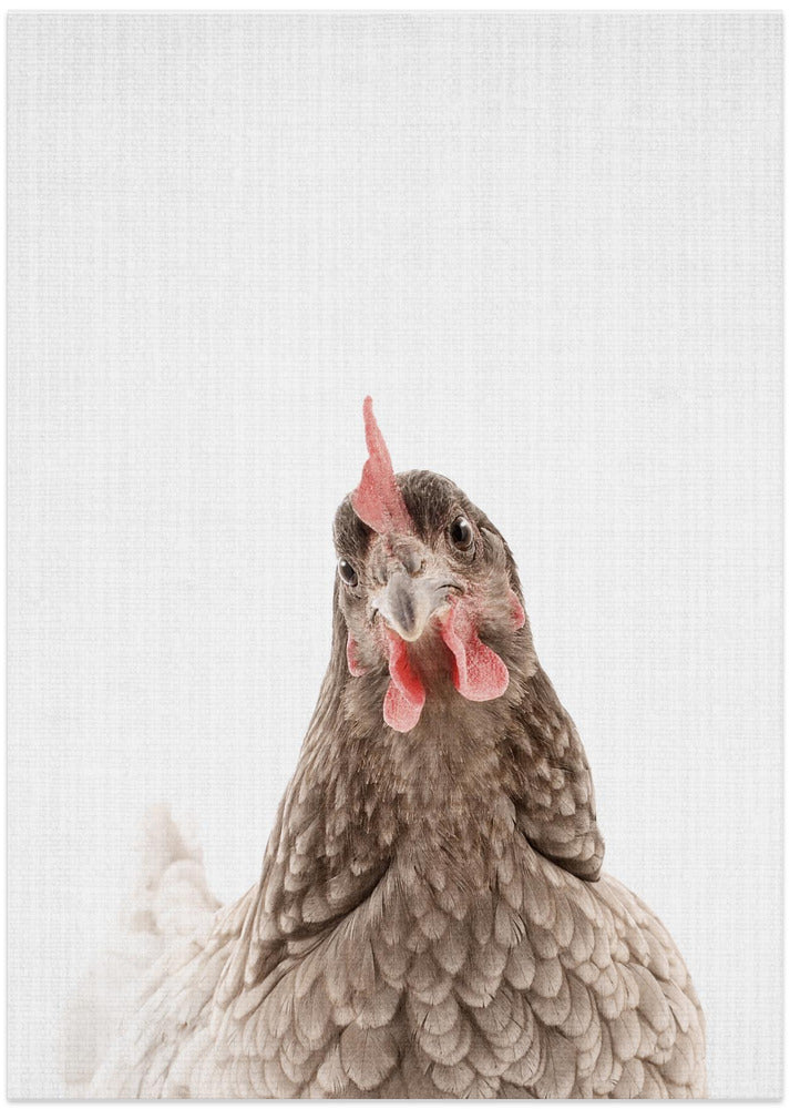 Peekaboo Chook - Art Print by Lola Peacock