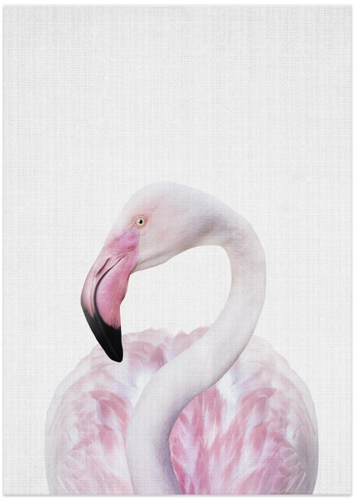 Peekaboo Flamingo - Art Print by Lola Peacock