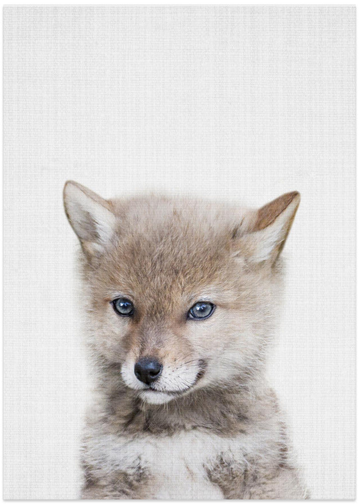 Coyote - Art Print by Lola Peacock